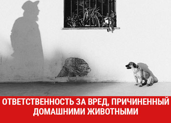 Ответственность хозяина животного, причинившего вред здоровью человека, его имуществу.